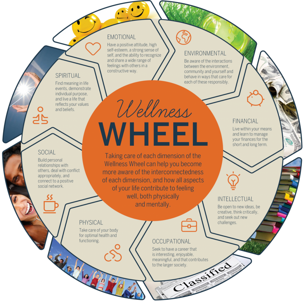 the-preparedness-wheel-at-a-glance-balance-check-for-readiness-the