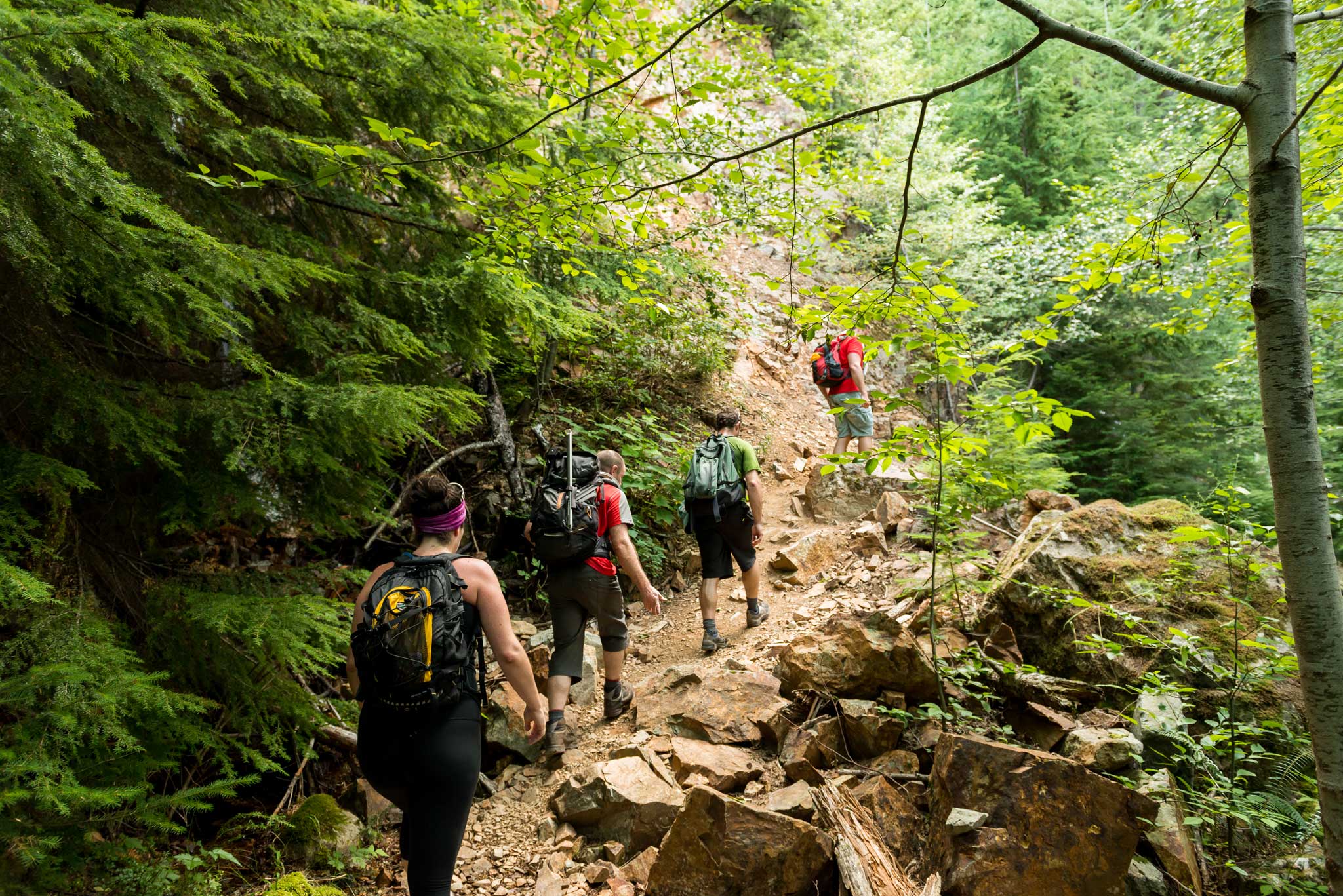  Four hikers wearing backpacks traverse a rocky path in a lush forest on a budget-friendly hiking trail.