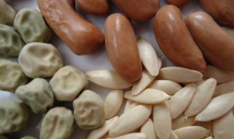 How To Create Your Own Personal Survival Seed Bank How to Create Your Own Personal Survival Seed Bank - The Prepper Journal