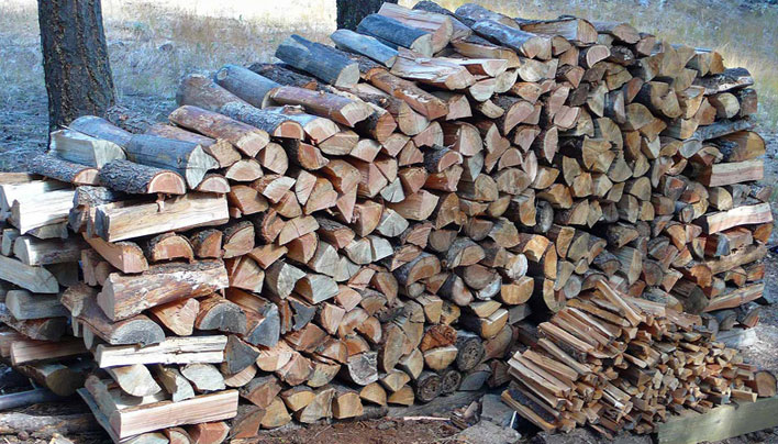 What Type of Firewood is Best? - The Prepper Journal