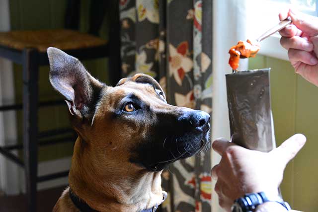 Mres: Best Prepper Food Or Waste Of Money? 6 My dog was a big fan of the Meatballs.