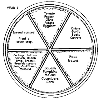 Conventional Guides To Crop Rotation 5 6-stage crop rotation plan