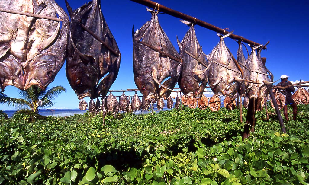 Lessons From History – Eating Well Off Home Food Preservation 4 People from Norway to Madagascar still air dry fish.