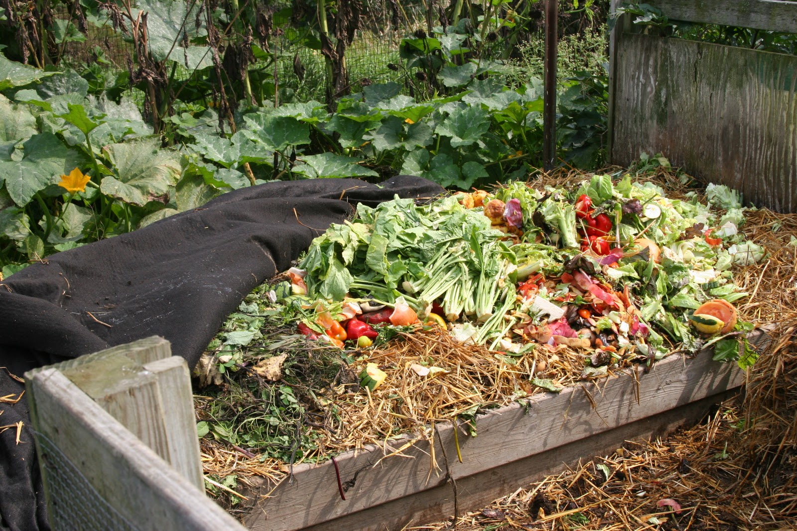 Composting is a simple way to enrich your garden soil and reduce trash.
