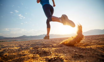 Apocalypse Training 101: Learn How To Survive The End Of The World Apocalypse Training 101: Learn How to Survive the End of the World - The Prepper Journal