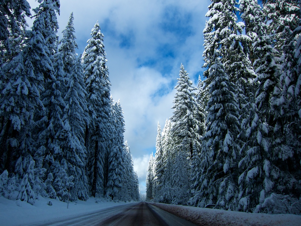 Survival Without Prepping - The Prepper Journal