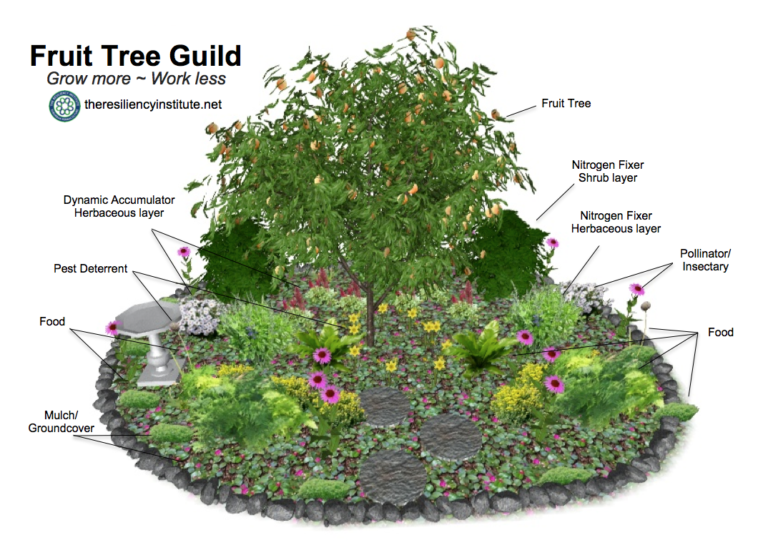 Stacking Functions: Increasing Yields & Decreasing Labor with Multi-Function Elements - The Prepper Journal