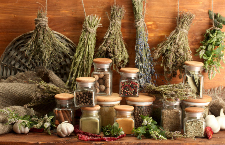 10 Medical Resources You Can Get from Nature - The Prepper Journal