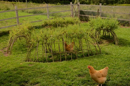 Stacking Functions: Increasing Efficiency with Multi-Function Spaces - The Prepper Journal