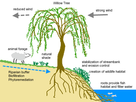 Stacking Functions: Increasing Efficiency with Multi-Function Spaces ...