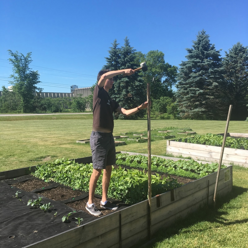 Prepper Must-Haves - Garden Tools - The Prepper Journal