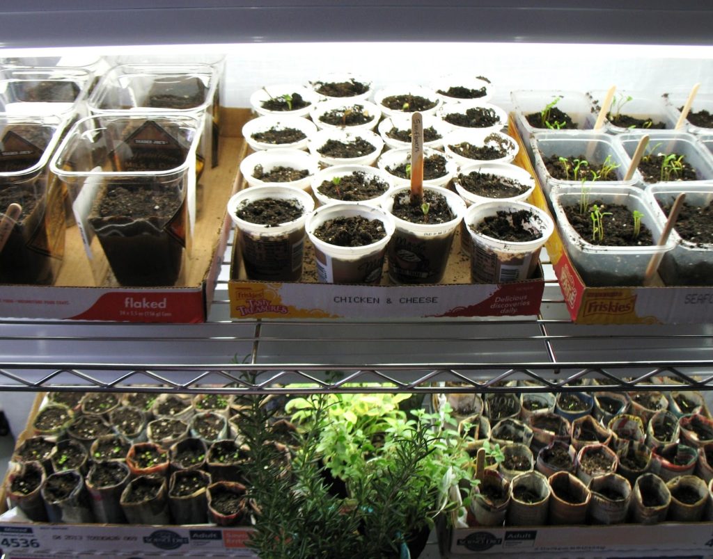 Garden Hacks - Repurpose Everyday Items - The Prepper Journal