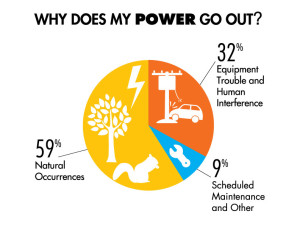 Power to Go! - The Prepper Journal