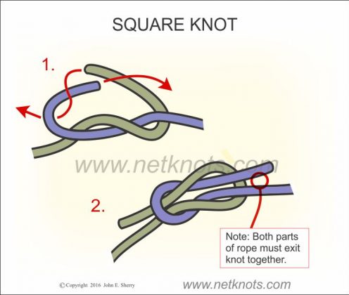 6 Essential Knots You Need To Know - The Prepper Journal