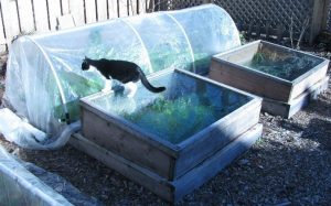 Survival Gardens: Bedding Down for Winter - The Prepper Journal