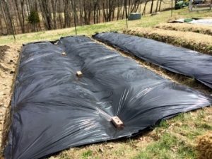 Survival Gardens: Bedding Down for Winter - The Prepper Journal