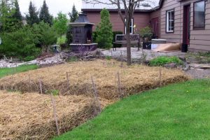 Survival Gardens: Bedding Down for Winter - The Prepper Journal