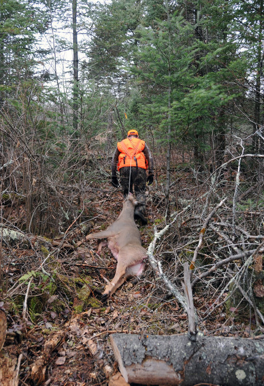 Effective Ways to Save Your Back During Deer Hunting - The Prepper Journal