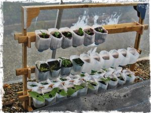 Survival Gardening: Cutting Costs - The Prepper Journal