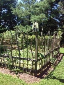 Survival Gardening: Cutting Costs - The Prepper Journal