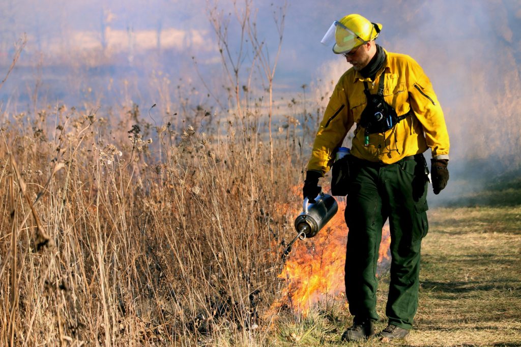 Regular controlled burning is one way to reduce grassfire risk