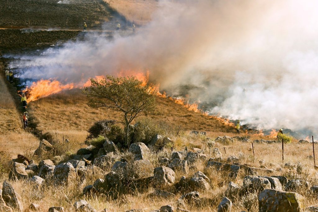 Easy Steps You Can Take Today To Reduce Grassfire Risk At Your Survival Retreat - The Prepper Journal