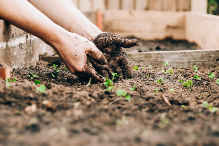 Garden OPSEC - Make sure you are prepared